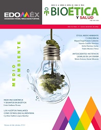 Revista Bioética y Salud Núm 17, pdf, no accesible